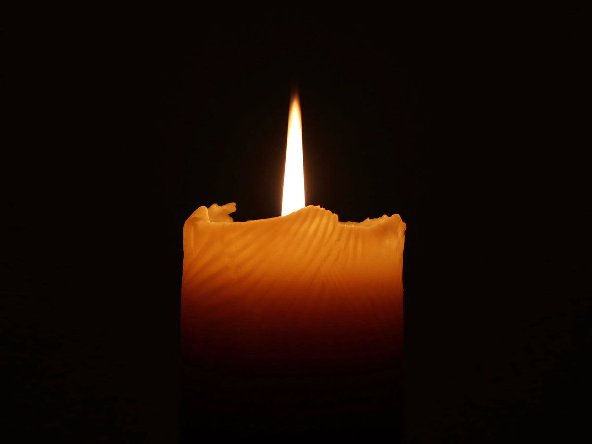 Artifaqt // Scallop Shell Pillar Beeswax Candle