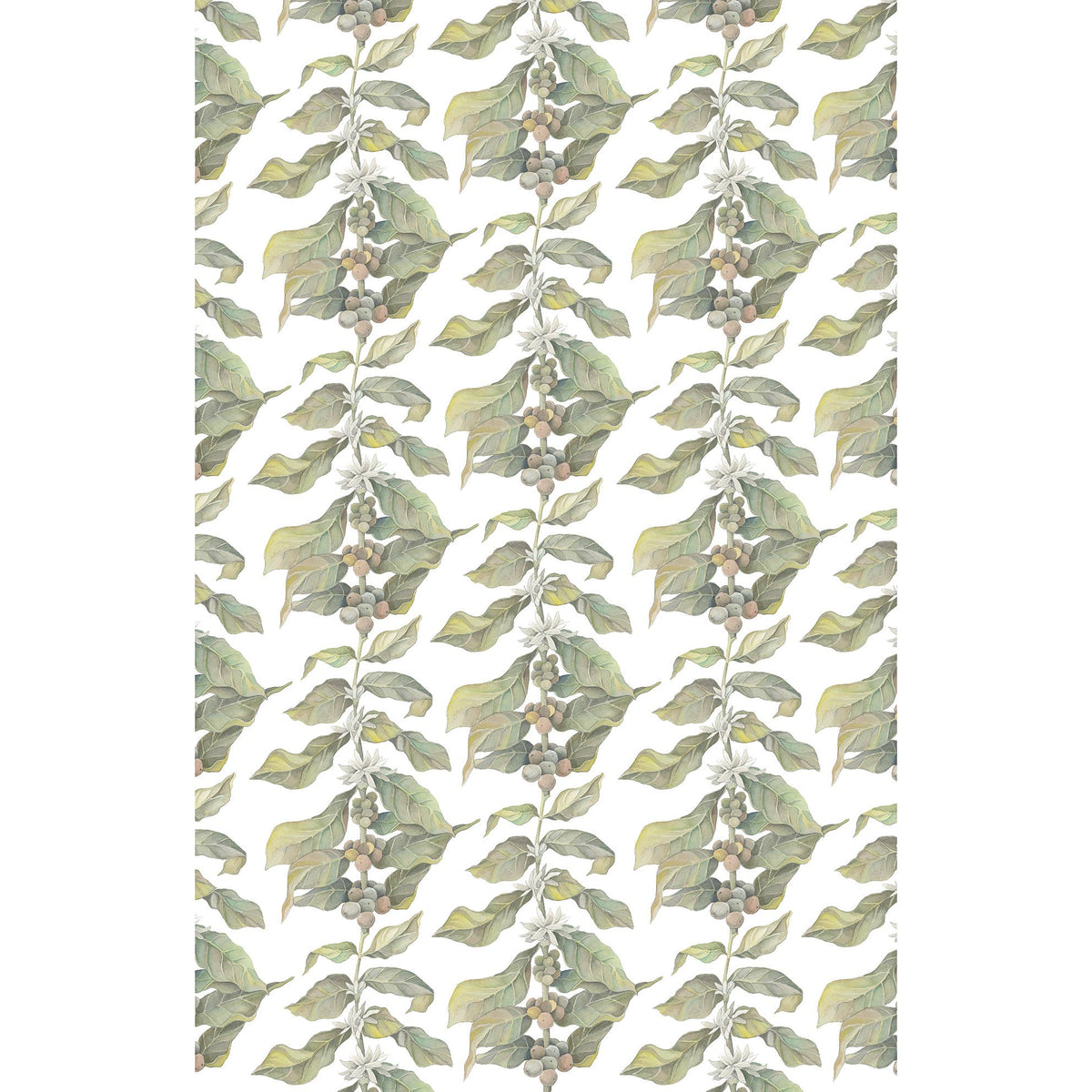 Linen Tea Towel // Coffee Arabica