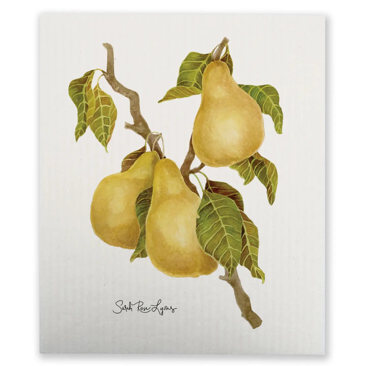 Swedish Dishcloth / Pears