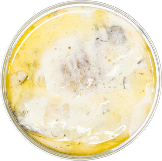 ABC+ Trout Fillets "Aglio & Oleo"