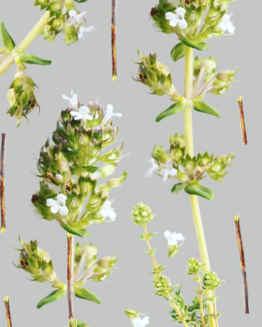 NEW Be Aromatic Organic Thyme