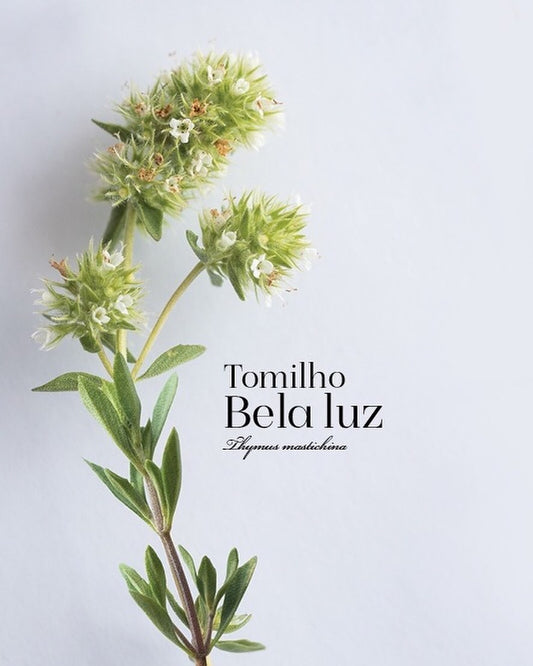 Be Aromatic Organic Portuguese Thyme