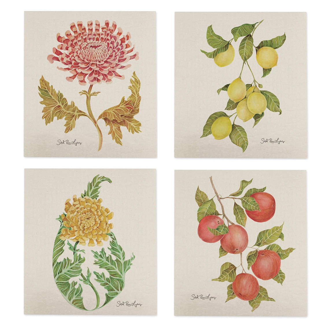 Swedish Dishcloth / "Chrysanthemum"