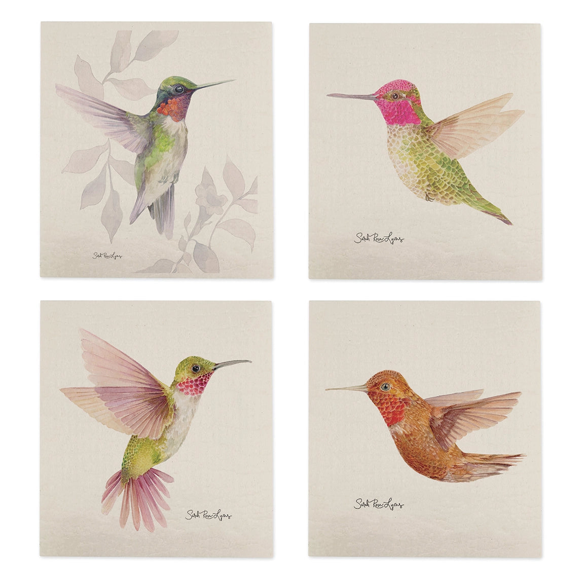 Swedish Dishcloth / "Anna's Hummingbird"