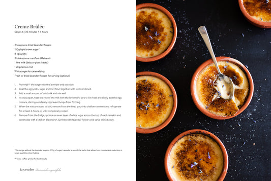 "Sal Verde - Aromatics in the Kitchen" by Rute Porto