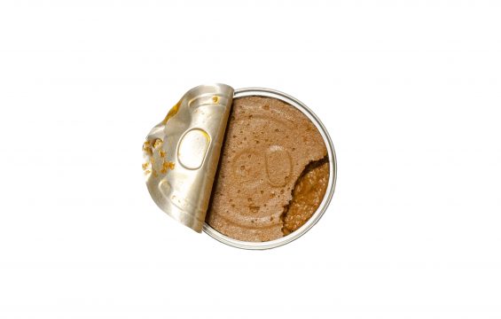 José Gourmet Sardine Paté