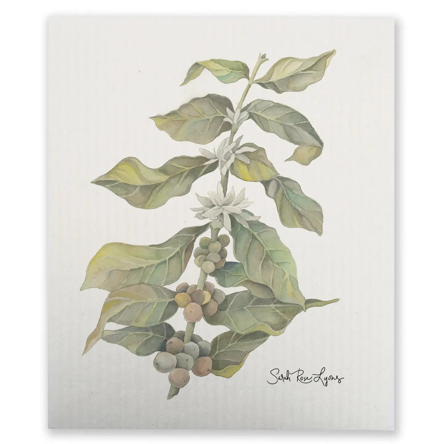 Sarah Rose Swedish Dish Cloths