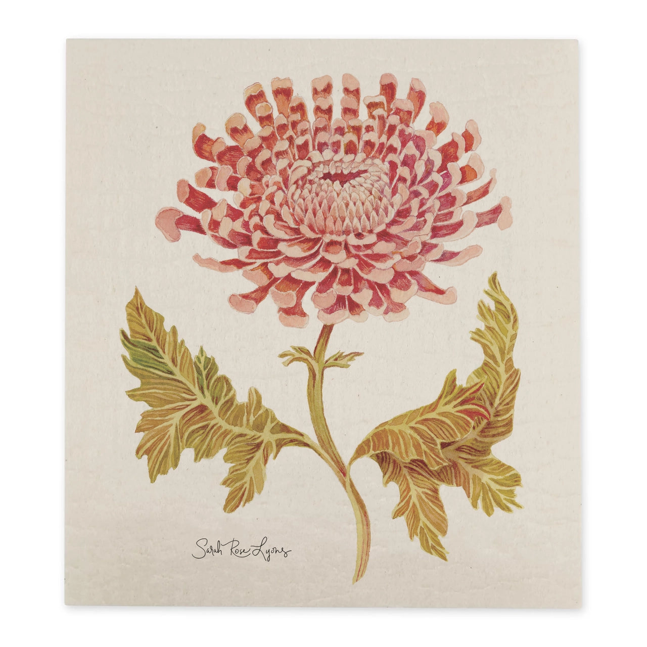 Swedish Dishcloth / "Chrysanthemum"