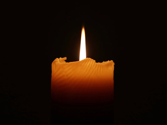 Artifaqt // Scallop Shell Pillar Beeswax Candle