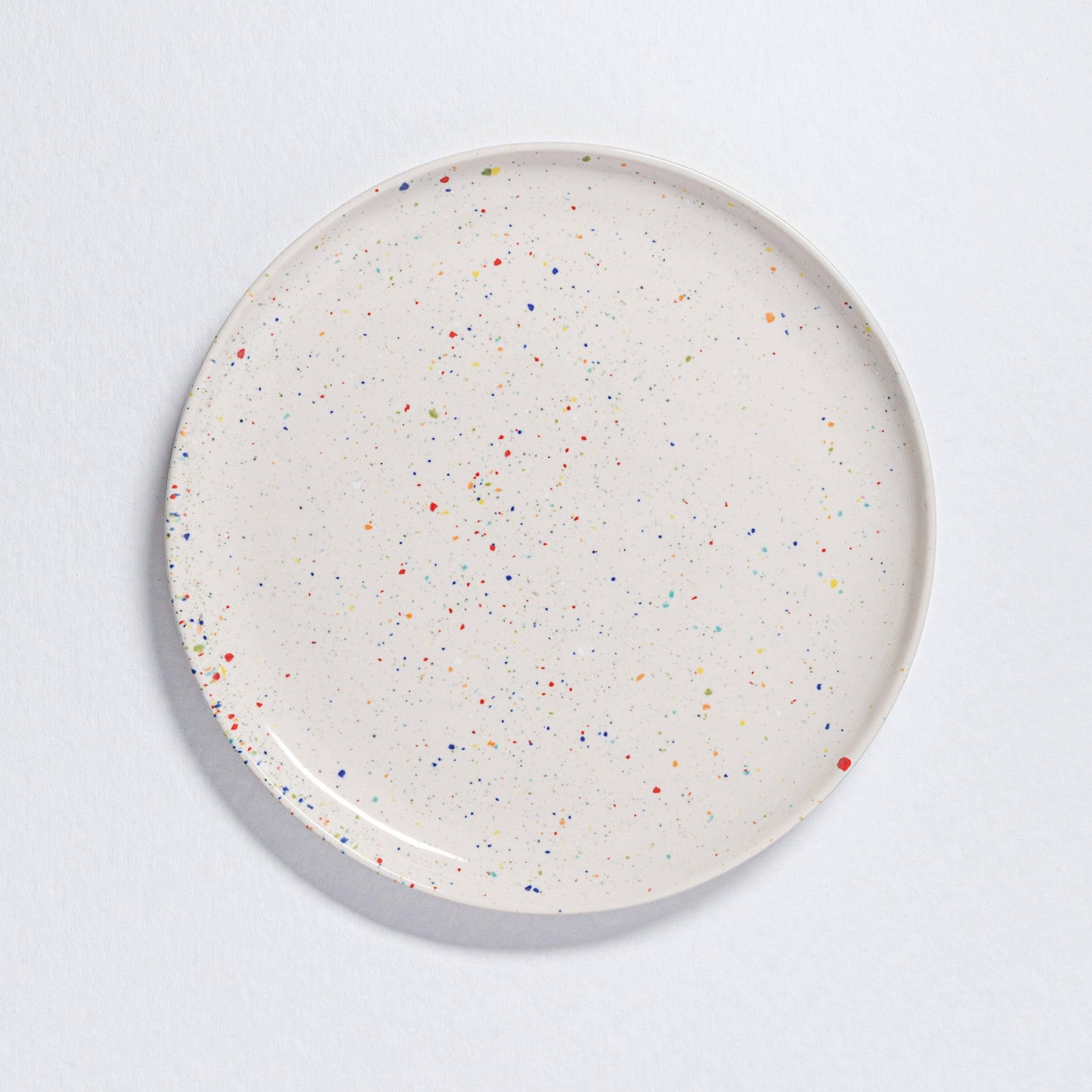 Egg Back Home // Party Collection Dinner Plates 11"