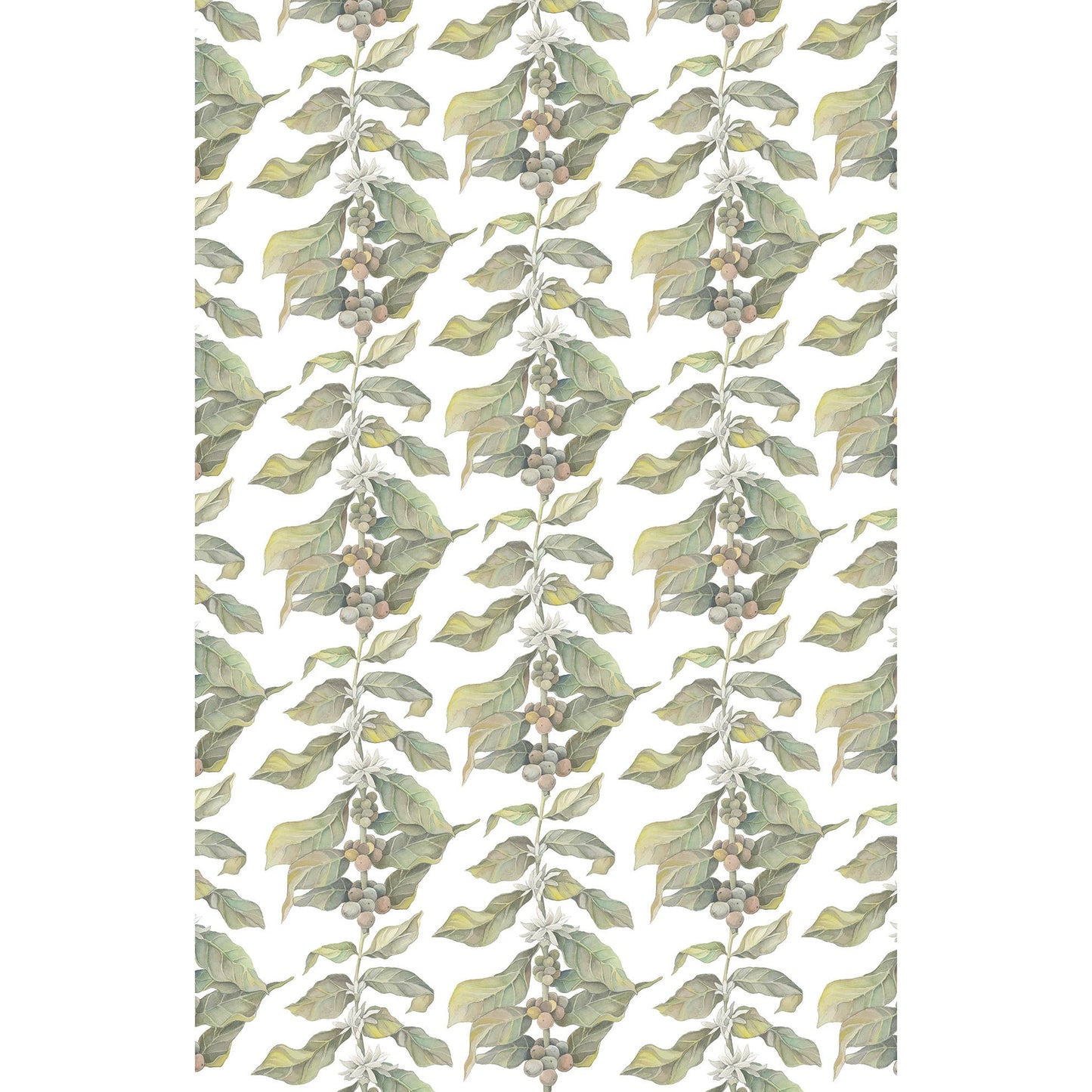 Linen Tea Towel // Coffee Arabica Organic