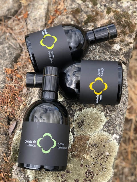 NEW Quinta de Lemos Olive Oil Trio//Gift Set 2025