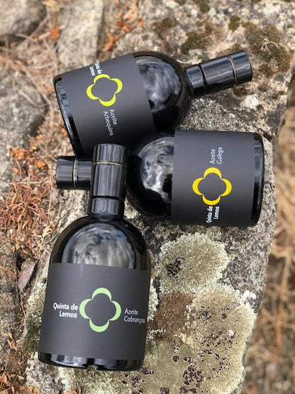 NEW Quinta de Lemos Olive Oil Trio//Gift Set 2025