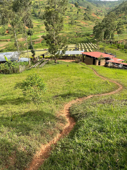 NEW So Coffee Whole Bean Burundi | 8.8 oz