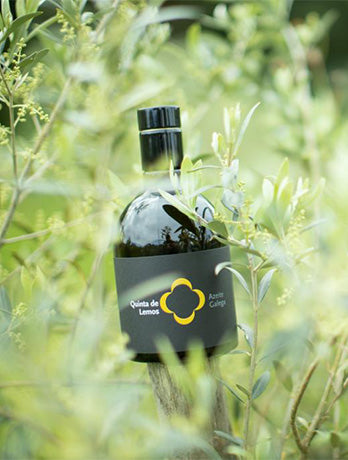 Quinta de Lemos Olive Oil Trio//Gift Set