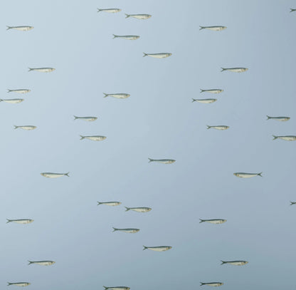 "La Mer" / Wrapping Paper X Kristin Mackenzie