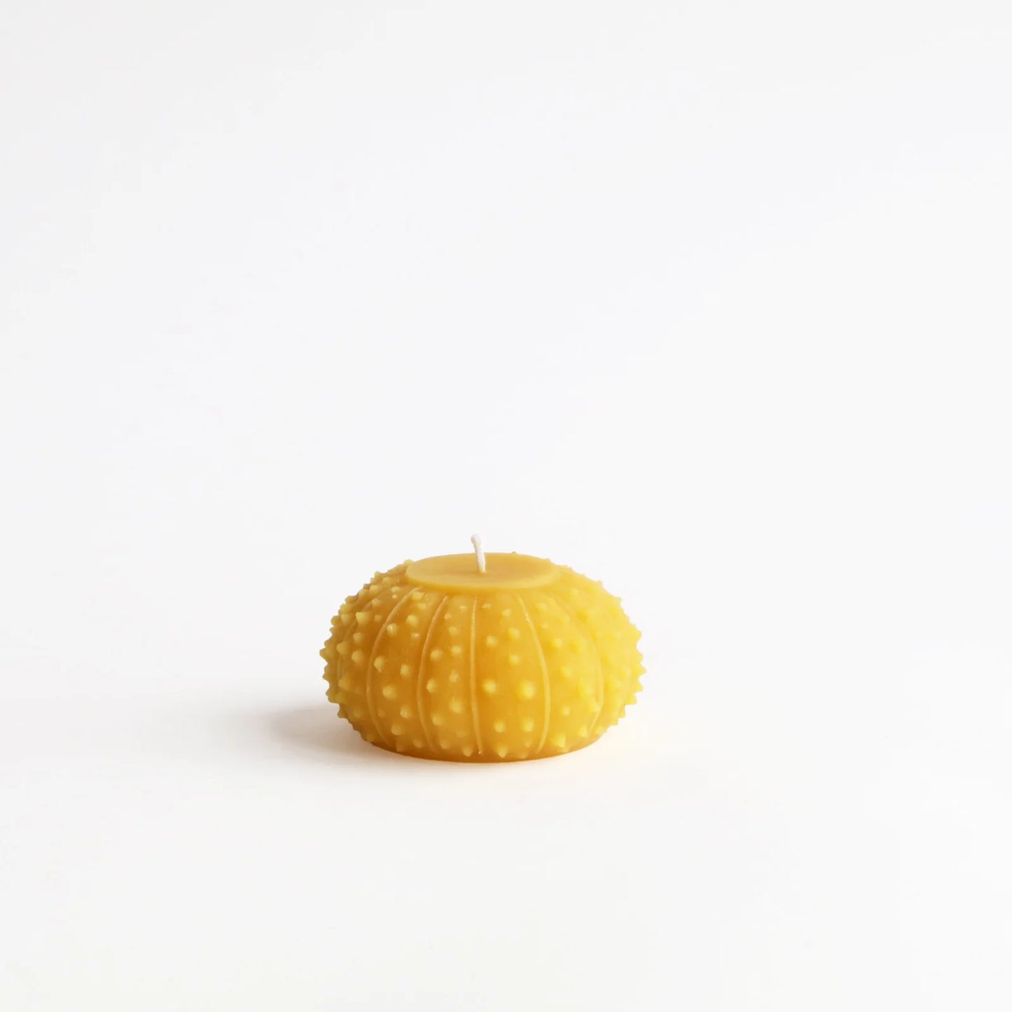 Artifaqt // Sea Urchin Beeswax Candle
