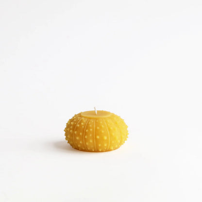 Artifaqt // Sea Urchin Beeswax Candle