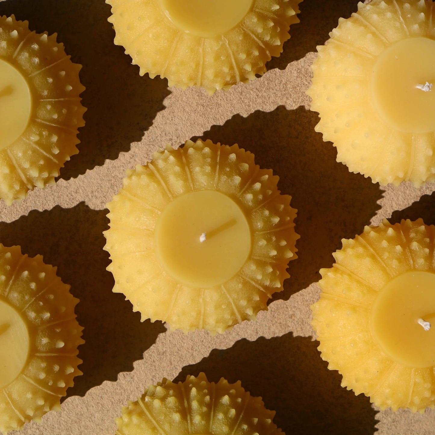 Artifaqt // Sea Urchin Beeswax Candle