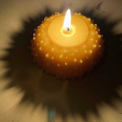 Artifaqt // Sea Urchin Beeswax Candle