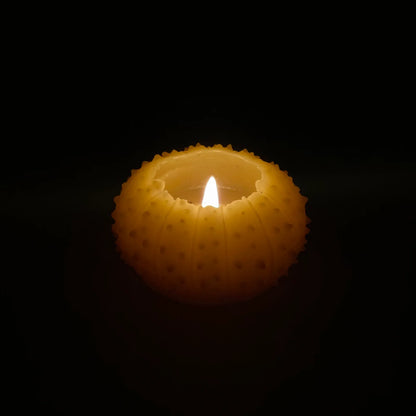 Artifaqt // Sea Urchin Beeswax Candle