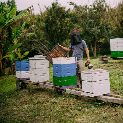 Wai Meli | Kiawe Blossom Honey (16oz)