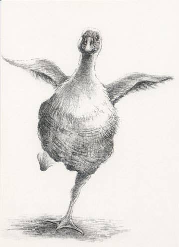 Canns Down Press Greeting Card: "First Flight"