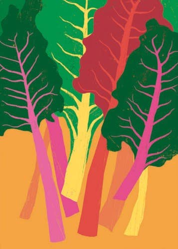 Canns Down Press Greeting Card: Rainbow Chard