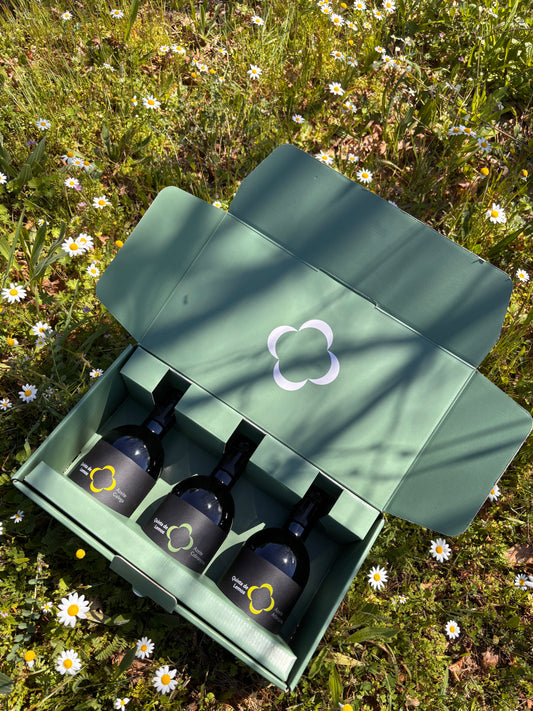NEW Quinta de Lemos Olive Oil Trio//Gift Set 2025